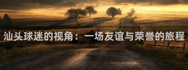 汕头球迷的视角：一场友谊与荣誉的旅程