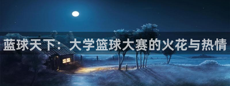 蓝球天下：大学篮球大赛的火花与热情