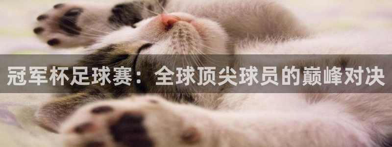 冠军杯足球赛：全球顶尖球员的巅峰对决