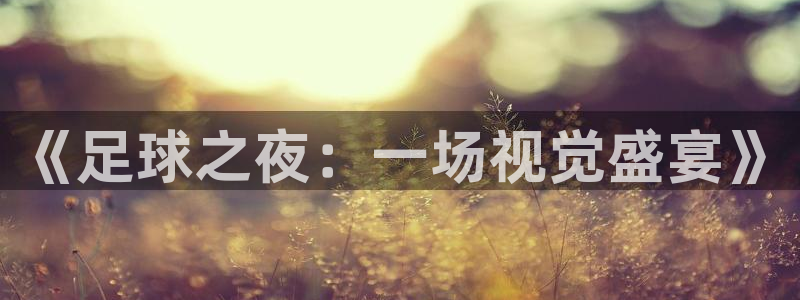 VSPORT是不是：《足球之夜：一场视觉盛宴》