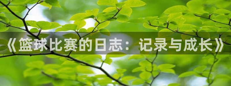  vsport体育app：《篮球比赛的日志：记录与成长》
