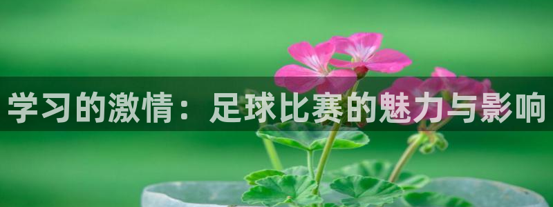 VSport胜利因您而精彩翻译：学习的激情：足球比赛的魅力与