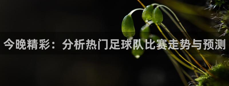 vsports属于什么档次：今晚精彩：分析热门足球队比赛走势